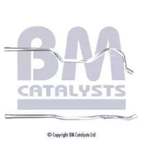 BM CATALYSTS BM50399