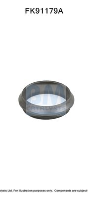 BM CATALYSTS FK91179