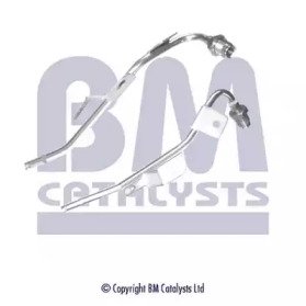 BM CATALYSTS PP11025A
