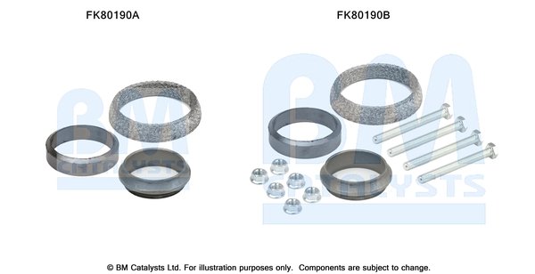 BM CATALYSTS FK80190