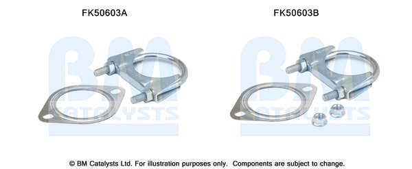 BM CATALYSTS FK50603