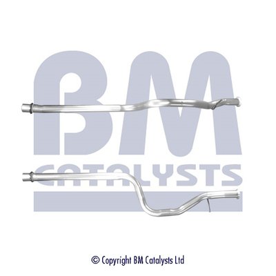 BM CATALYSTS BM50431