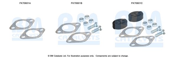 BM CATALYSTS FK70601