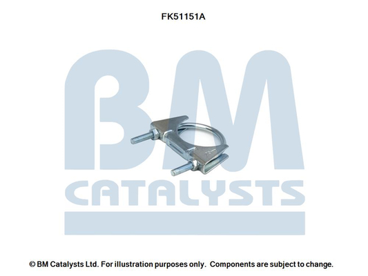 BM CATALYSTS FK51151