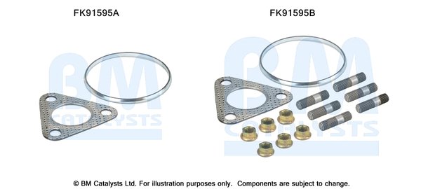 BM CATALYSTS FK91595