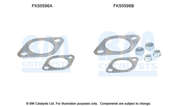 BM CATALYSTS FK50596