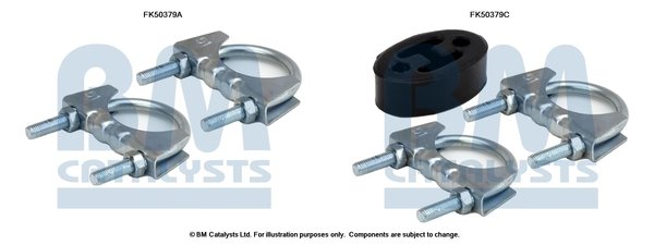 BM CATALYSTS FK50379