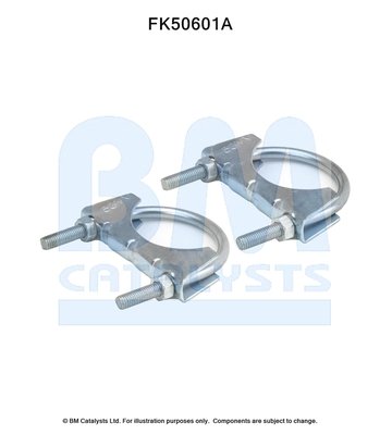 BM CATALYSTS FK50601