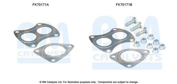 BM CATALYSTS FK70171