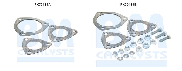 BM CATALYSTS FK70181