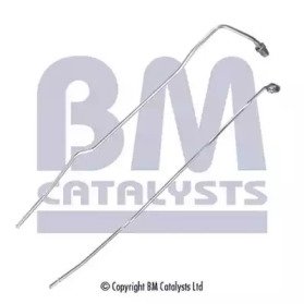 BM CATALYSTS PP11222B