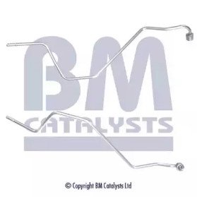 BM CATALYSTS PP11138A