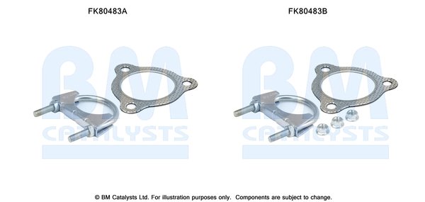 BM CATALYSTS FK80483