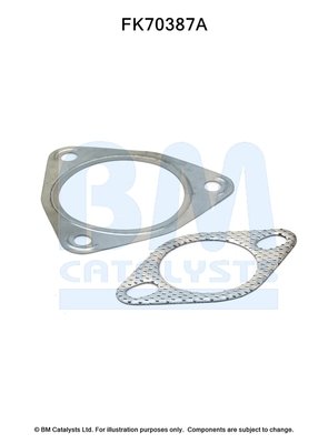 BM CATALYSTS FK70387