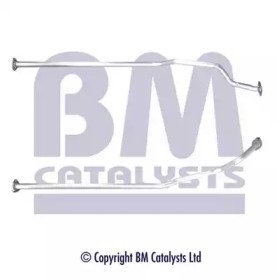 BM CATALYSTS BM50391