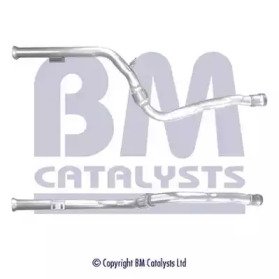 BM CATALYSTS BM50439