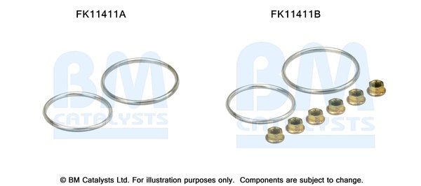BM CATALYSTS FK11411