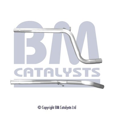 BM CATALYSTS BM50738