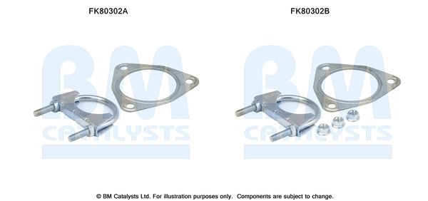 BM CATALYSTS FK80302