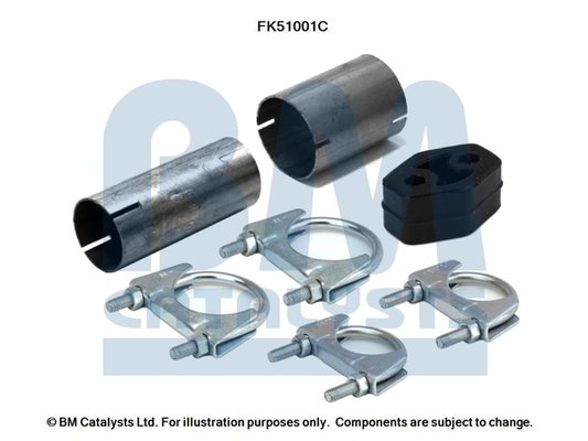 BM CATALYSTS FK51001