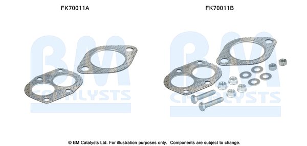 BM CATALYSTS FK70011