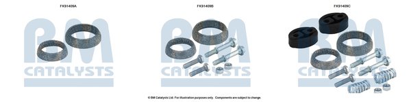 BM CATALYSTS FK91409