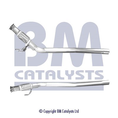 BM CATALYSTS BM50594