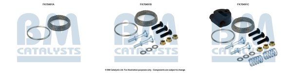 BM CATALYSTS FK70491
