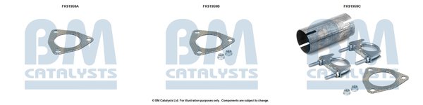 BM CATALYSTS FK91959