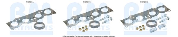 BM CATALYSTS FK91209