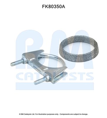 BM CATALYSTS FK80350