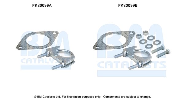 BM CATALYSTS FK80099