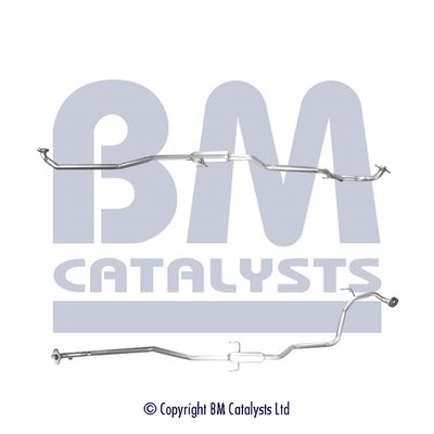 BM CATALYSTS BM50573
