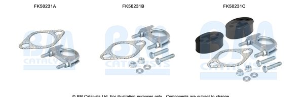 BM CATALYSTS FK50231