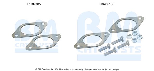 BM CATALYSTS FK50079