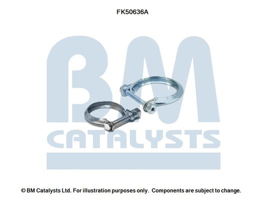 BM CATALYSTS FK50636