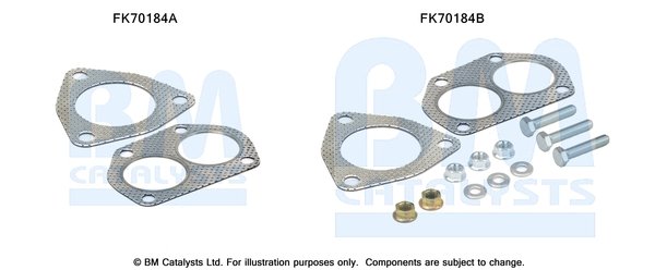 BM CATALYSTS FK70184