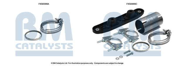 BM CATALYSTS FK92099