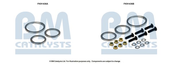 BM CATALYSTS FK91436