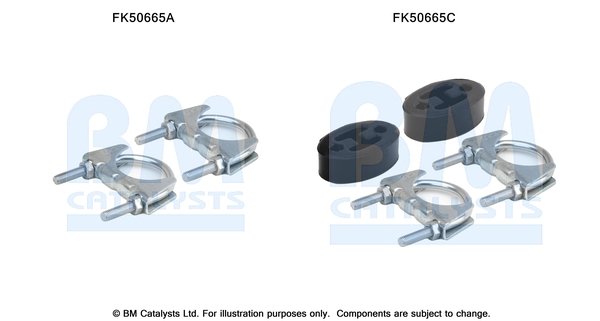BM CATALYSTS FK50665