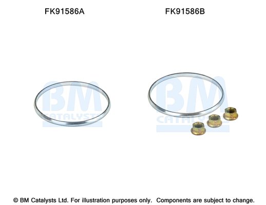 BM CATALYSTS FK91586