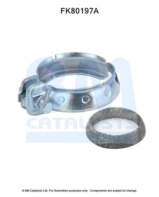 BM CATALYSTS FK80197