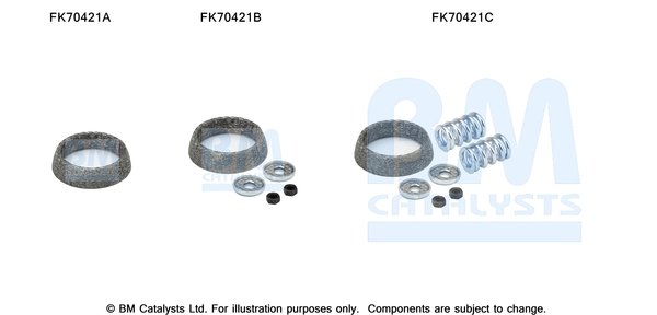 BM CATALYSTS FK70421