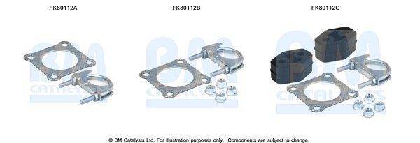 BM CATALYSTS FK80112