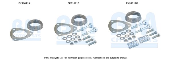 BM CATALYSTS FK91011