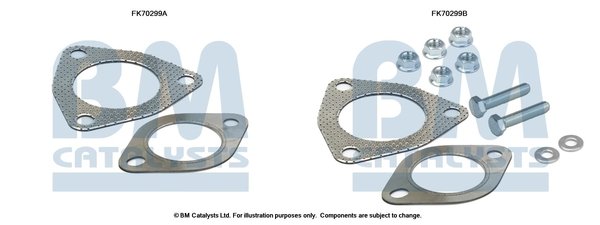 BM CATALYSTS FK70299