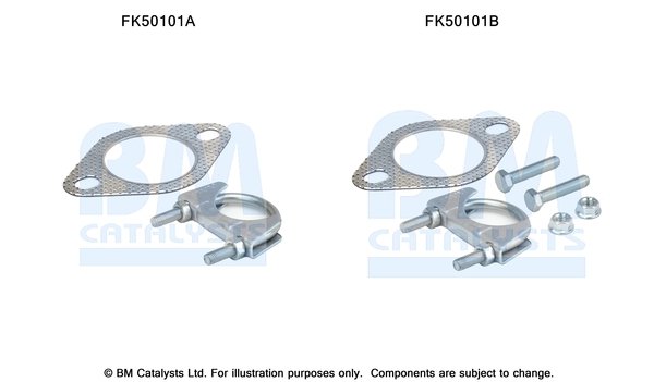 BM CATALYSTS FK50101