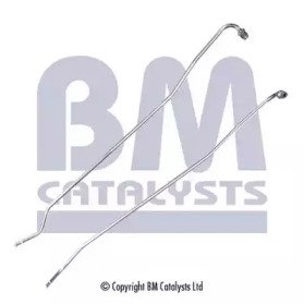 BM CATALYSTS PP11080B