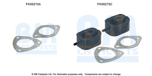 BM CATALYSTS FK50273