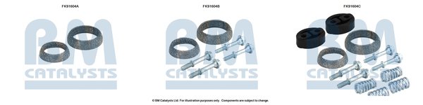 BM CATALYSTS FK91604